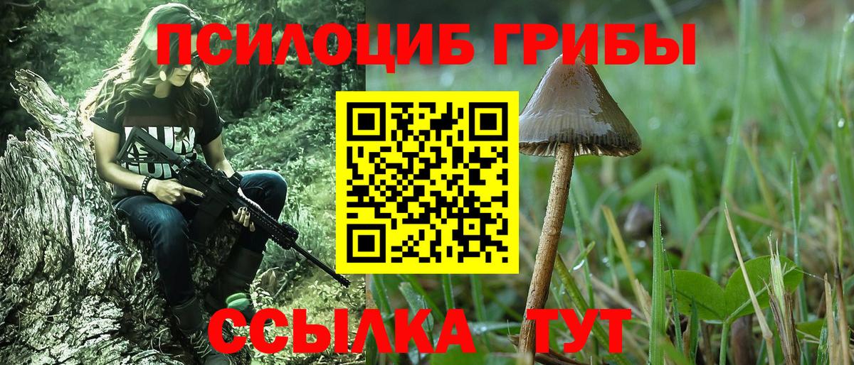 Галлюциногенные грибы MAGIC MUSHROOMS  Вход с VPN  Полысаево 